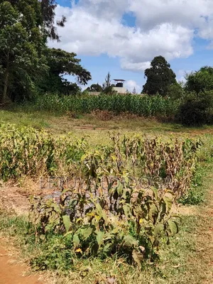 1 1⁄4 Acre Ngong-Kibiko(Baboon Crescent)