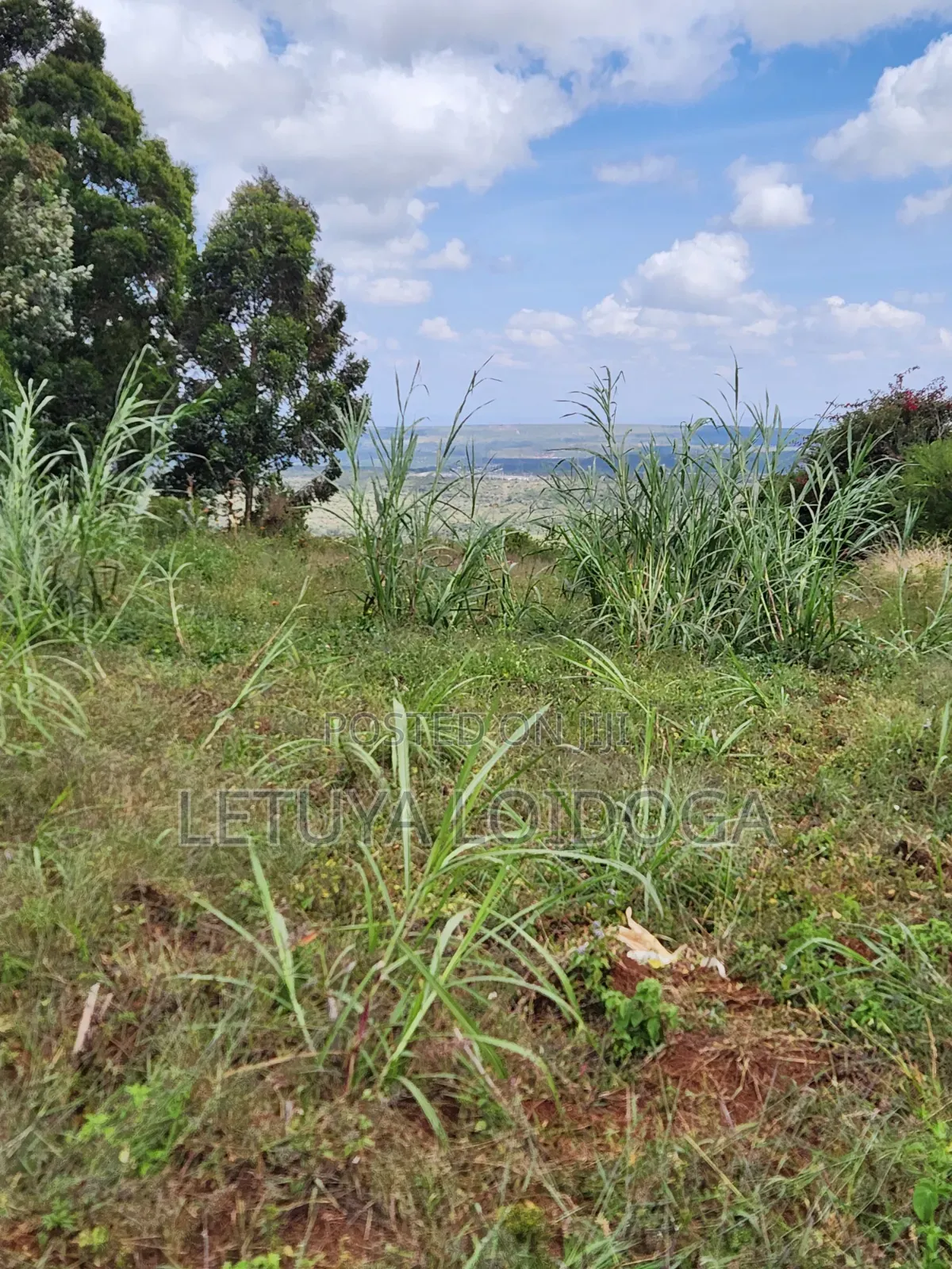 1 1⁄4 Acre Ngong-Kibiko(Baboon Crescent)