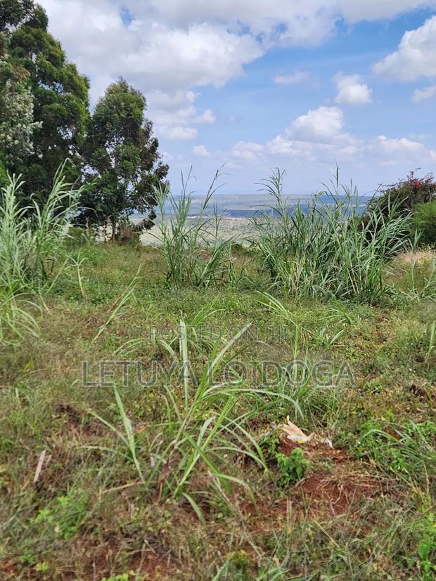 1 1⁄4 Acre Ngong-Kibiko(Baboon Crescent) - thumbnail 3
