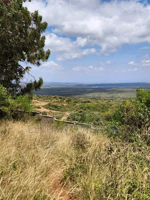 1 1⁄4 Acre Ngong-Kibiko(Baboon Crescent)