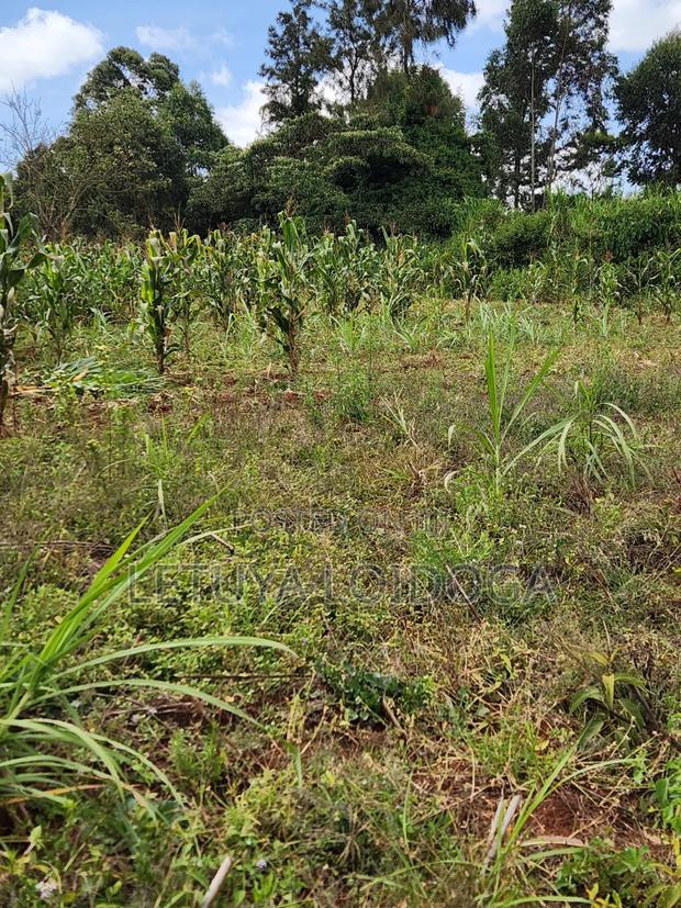 1 1⁄4 Acre Ngong-Kibiko(Baboon Crescent) - thumbnail 6