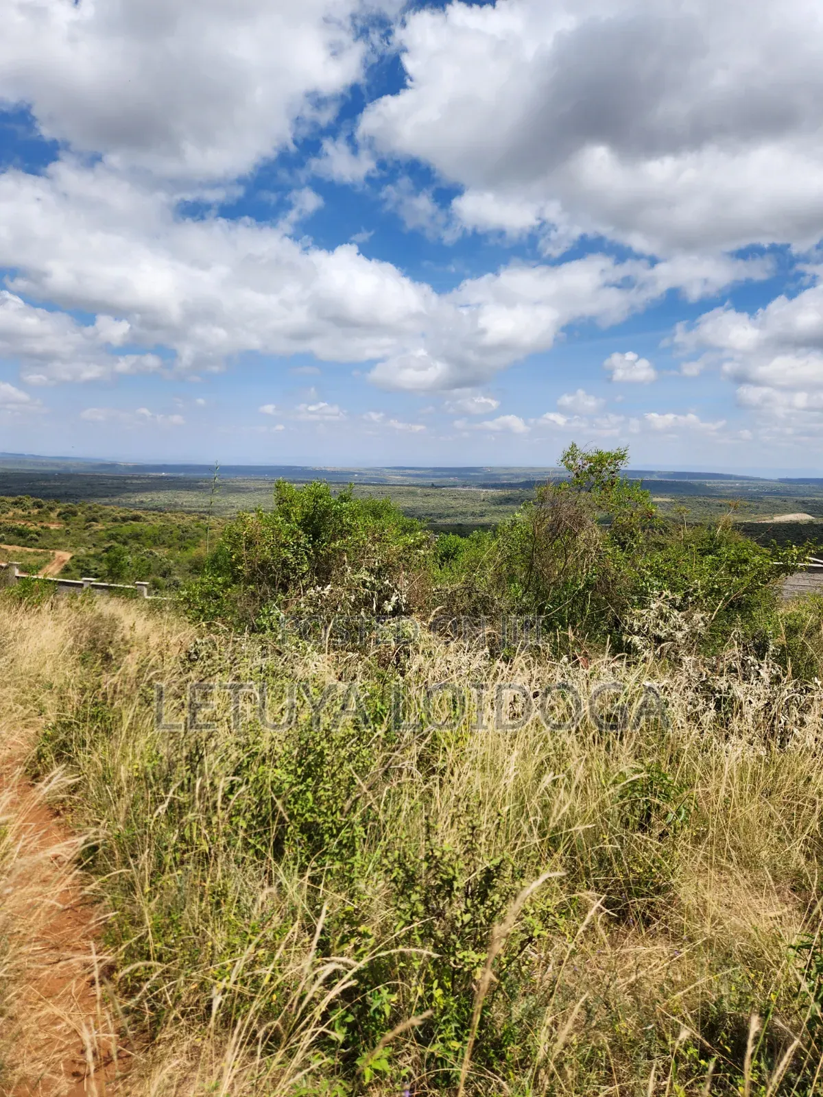 1 1⁄4 Acre Ngong-Kibiko(Baboon Crescent)