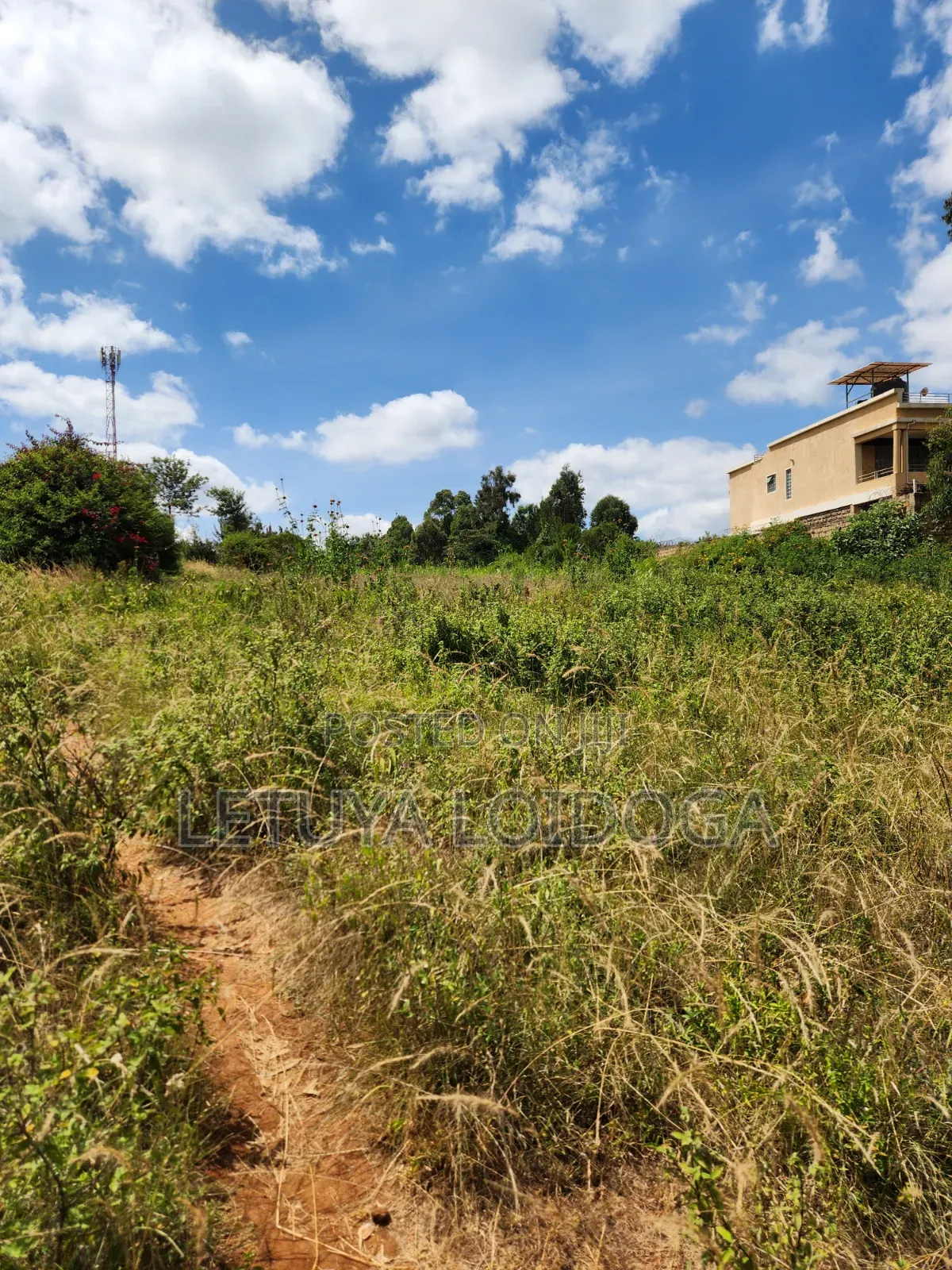 1 1⁄4 Acre Ngong-Kibiko(Baboon Crescent)