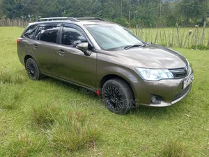 Toyota Corolla Fielder 2012 Burgundy