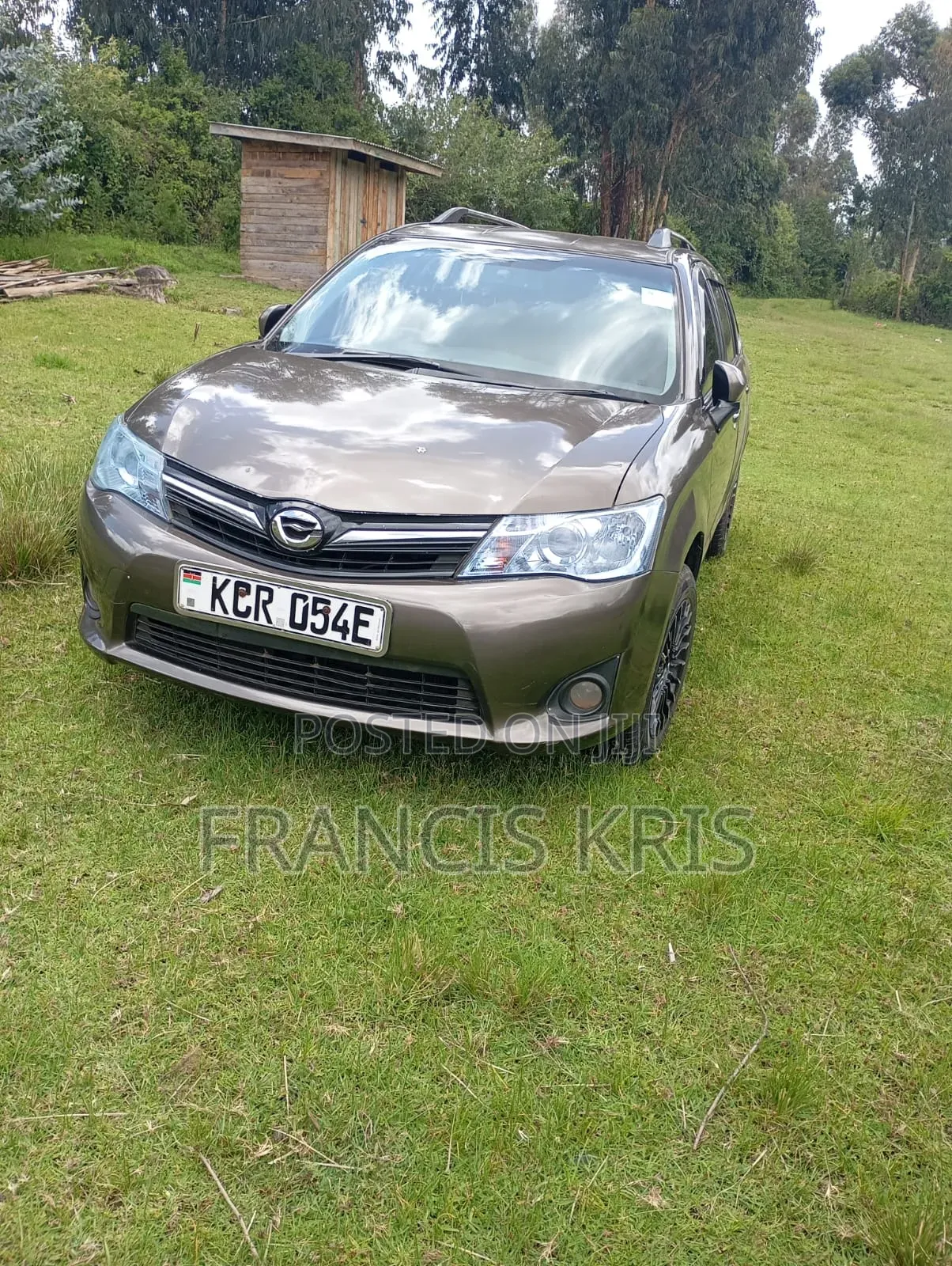 Toyota Corolla Fielder 2012 Burgundy
