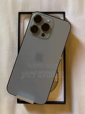 Apple iPhone 13 Pro Max 256 GB Gray