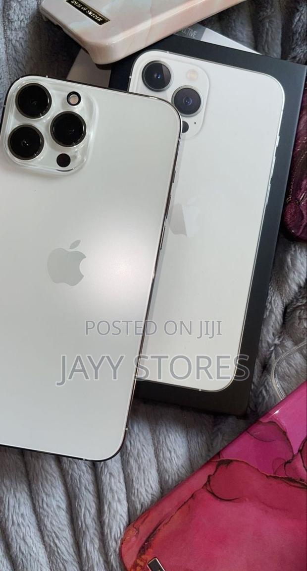 Apple iPhone 13 Pro Max 256 GB Gray