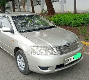 Toyota Corolla Fielder 2007 Silver