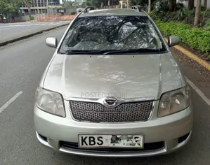 Toyota Corolla Fielder 2007 Silver