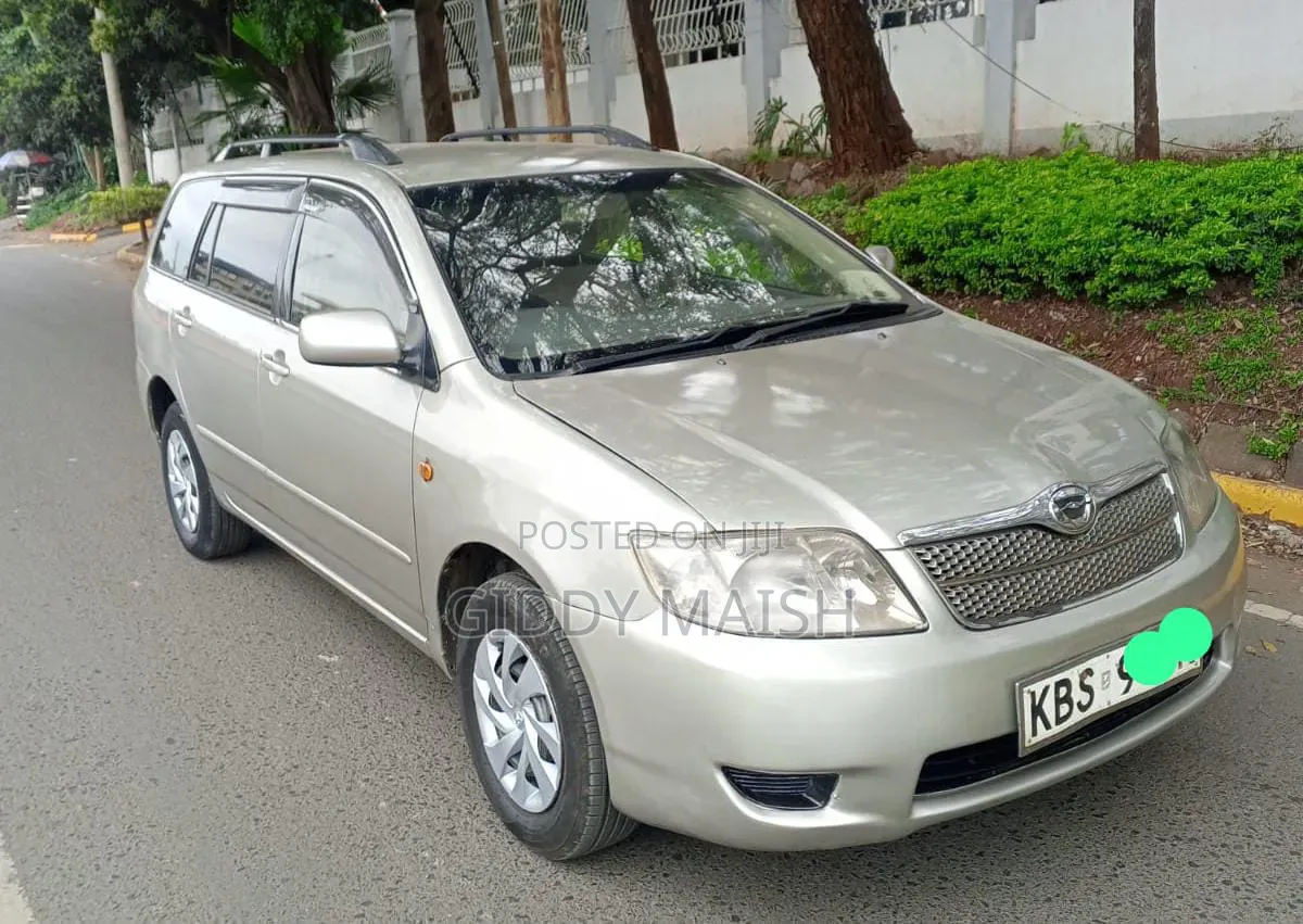 Toyota Corolla Fielder 2007 Silver