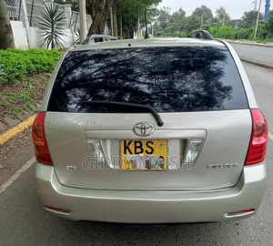 Toyota Corolla Fielder 2007 Silver