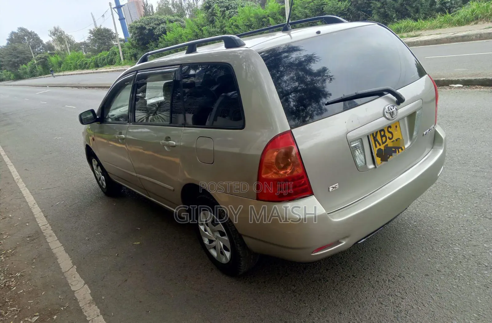 Toyota Corolla Fielder 2007 Silver