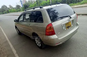 Toyota Corolla Fielder 2007 Silver