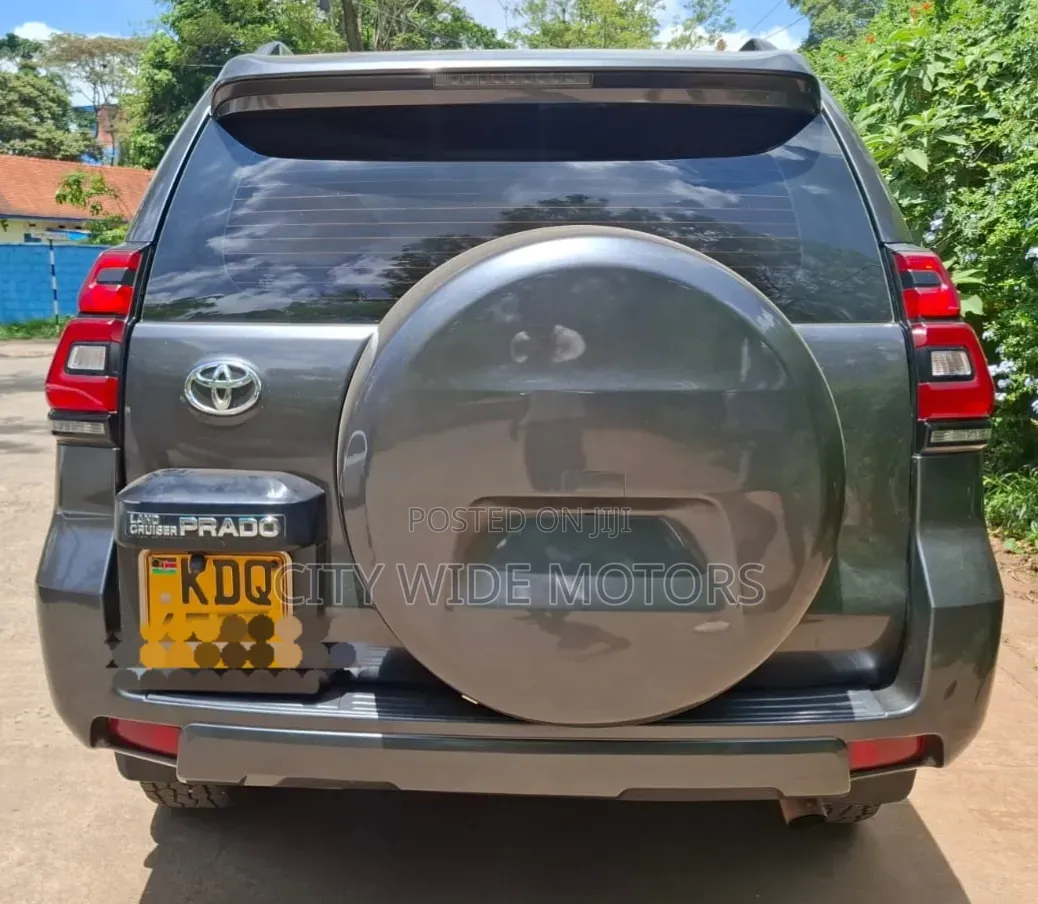 Toyota Land Cruiser Prado 2010 Gray