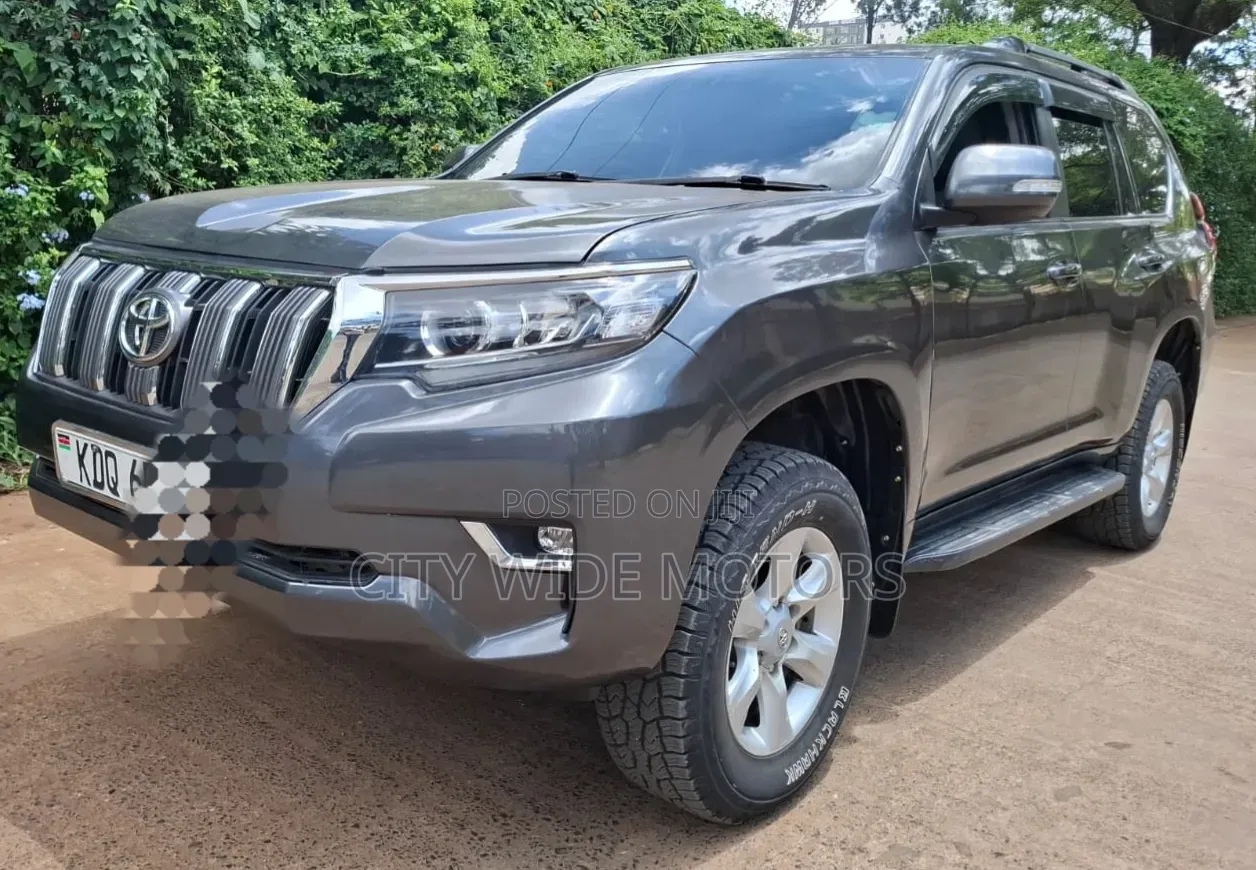 Toyota Land Cruiser Prado 2010 Gray