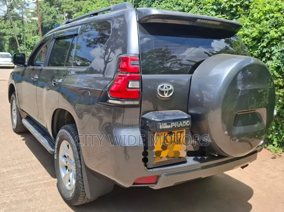 Toyota Land Cruiser Prado 2010 Gray