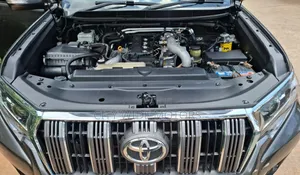 Toyota Land Cruiser Prado 2010 Gray
