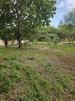 3/4 Plot Fully Fenced With Perimeter for Sale in Diani Near Chandarana