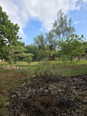 1/4 and 1/8 Plot Diani Chandarana for Sale Fully Fenced With Perimeter