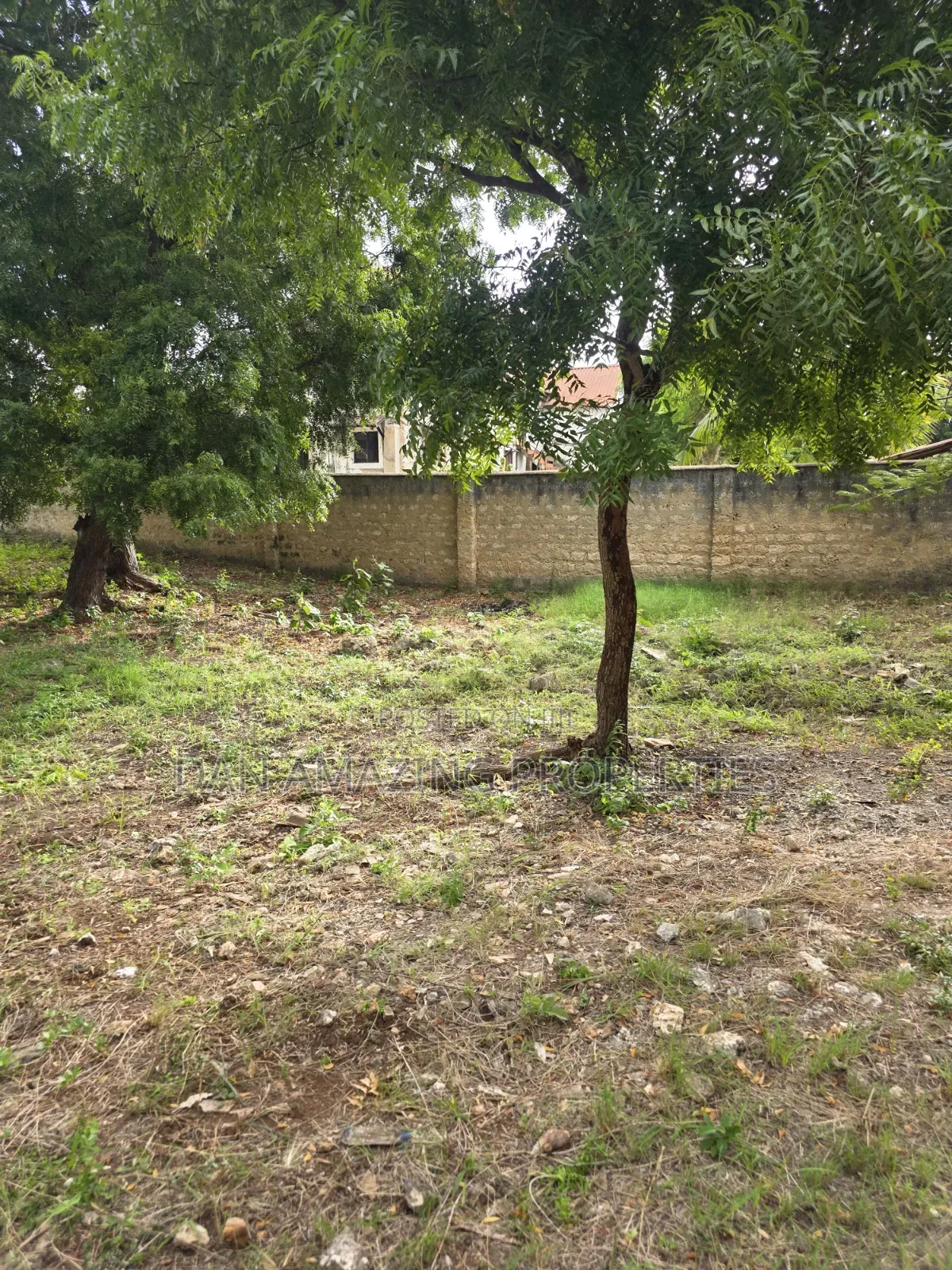 1/4 and 1/8 Plot Diani Chandarana for Sale Fully Fenced With Perimeter