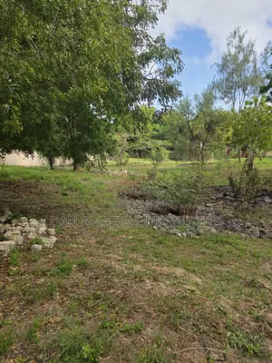 1/4 and 1/8 Plot Diani Chandarana for Sale Fully Fenced With Perimeter