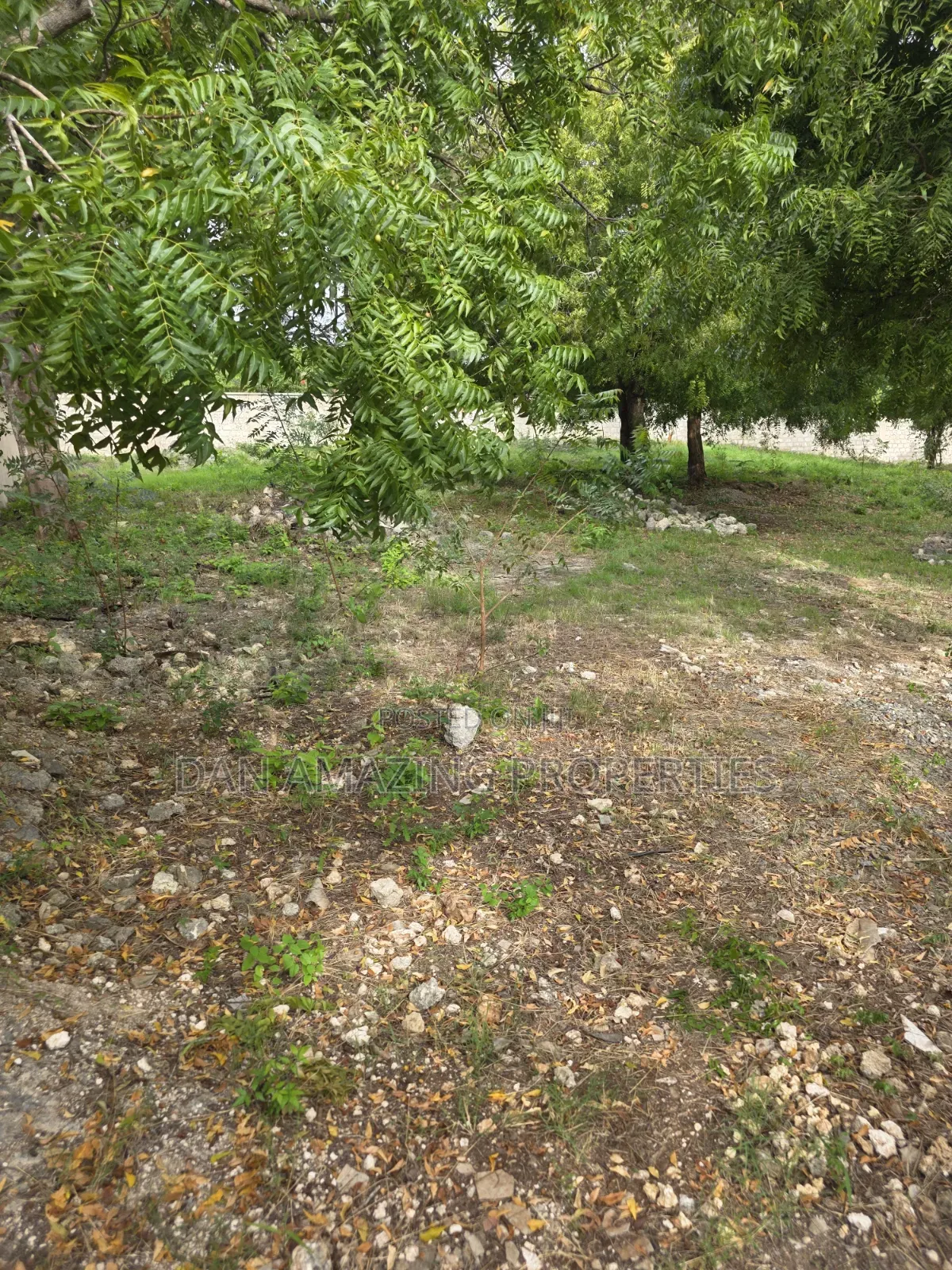 1/4 and 1/8 Plot Diani Chandarana for Sale Fully Fenced With Perimeter