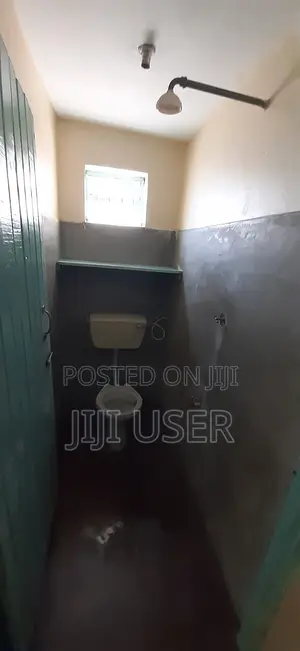 Mini Flat in Nyangusu, Umoja I for rent