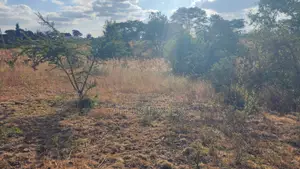 1/4 Plot for Sale in Kabati Near Progas