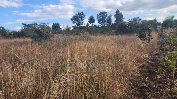 1/4 Plot for Sale in Kabati Near Progas - thumbnail 3