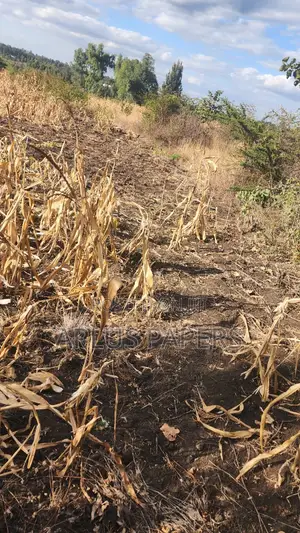 1/4 Plot for Sale in Kabati Near Progas