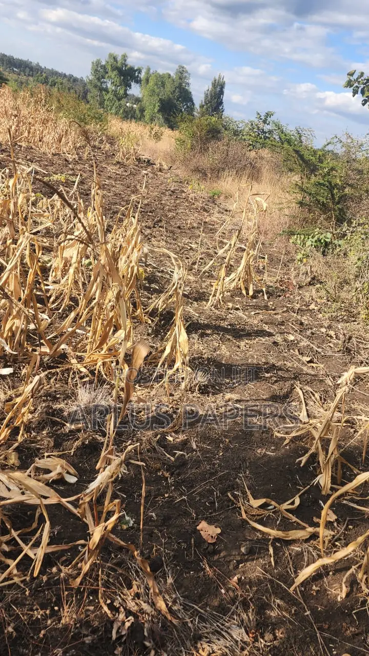 1/4 Plot for Sale in Kabati Near Progas