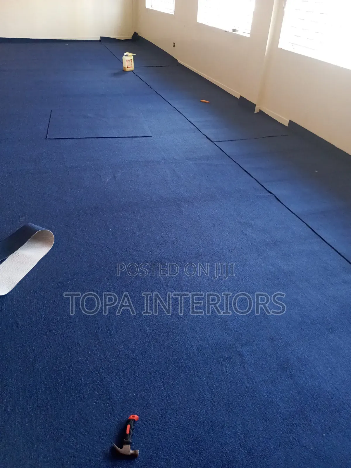 Navy Blue Office Floor Carpets Covering the Whole Floor
