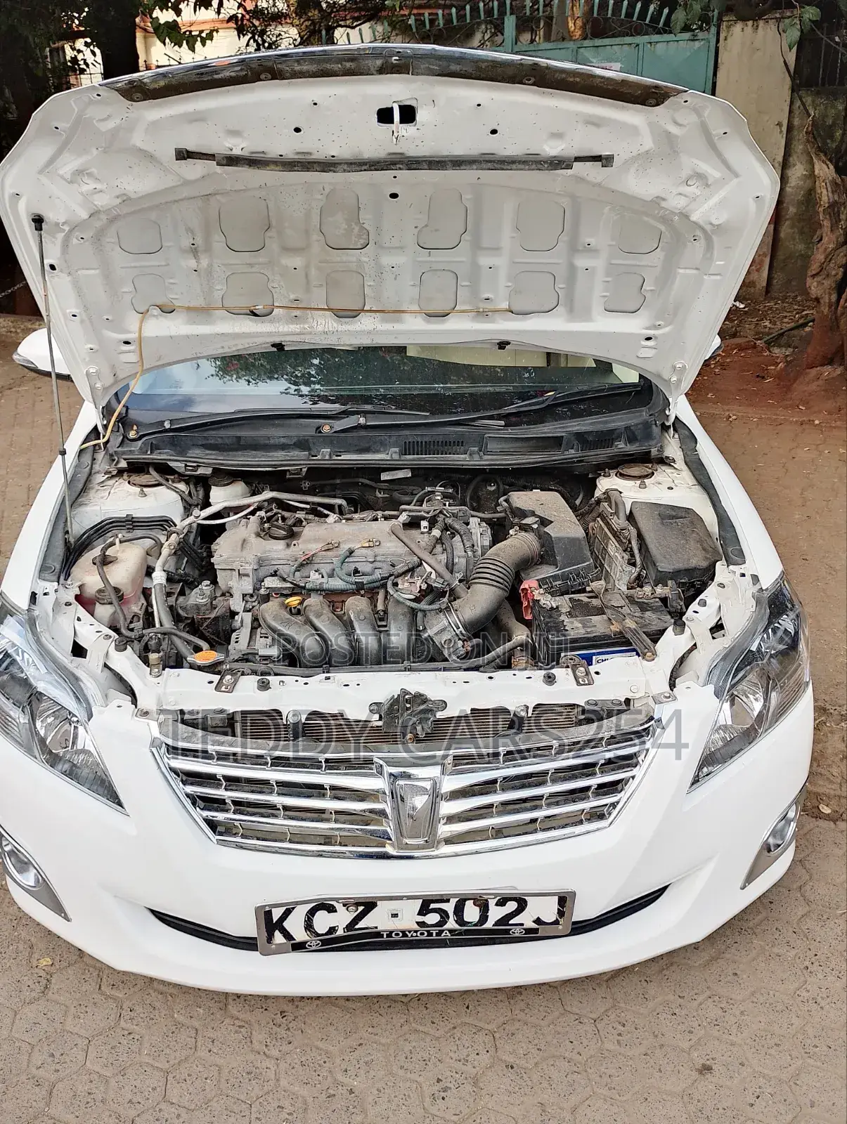 Toyota Premio 2013 White