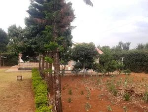 3bdrm Maisonette in Buru Buru Farm, Kangundo Central for sale