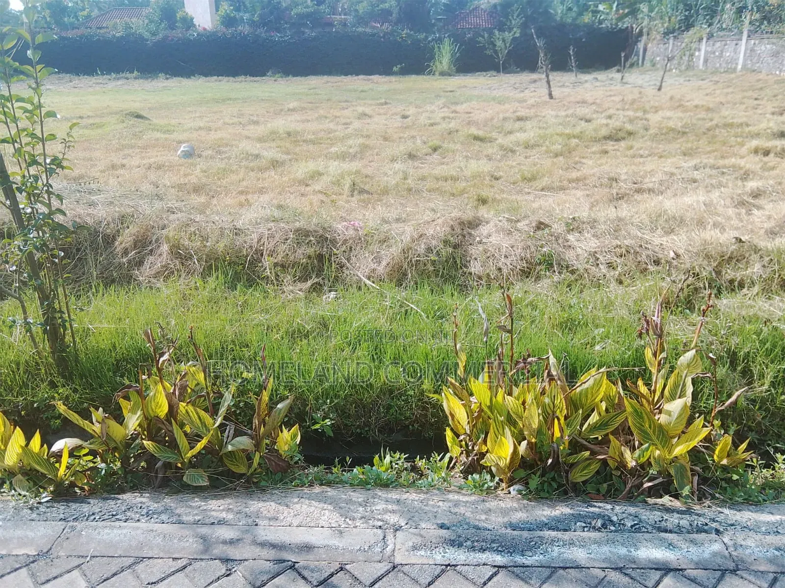 1/2 Acres for Sale in Karen Tree Lane.