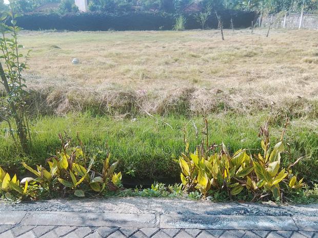 1/2 Acres for Sale in Karen Tree Lane.