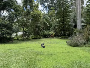 1/2 Acres for Sale in Karen Tree Lane.