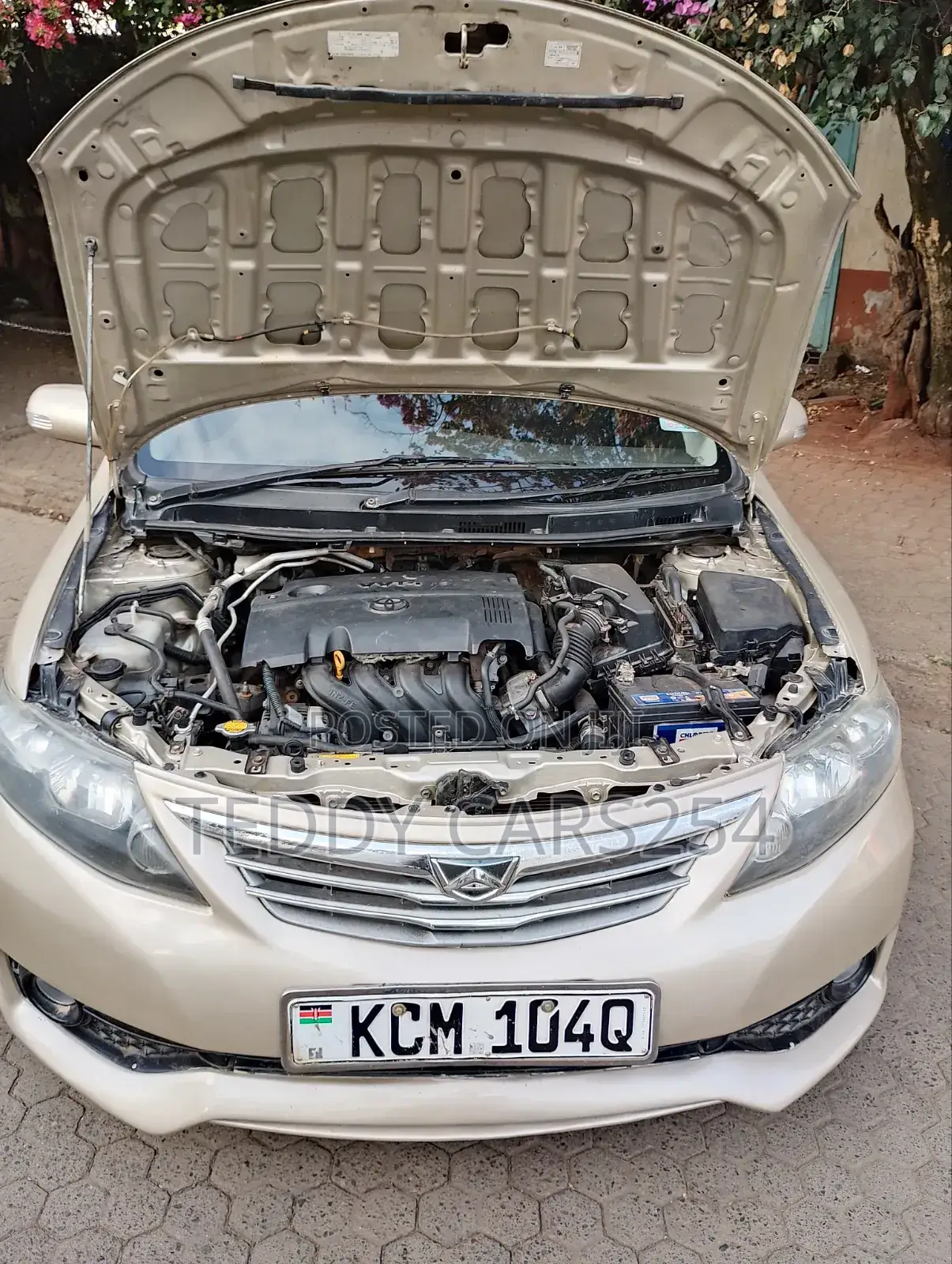 Toyota Allion 2010 Gold