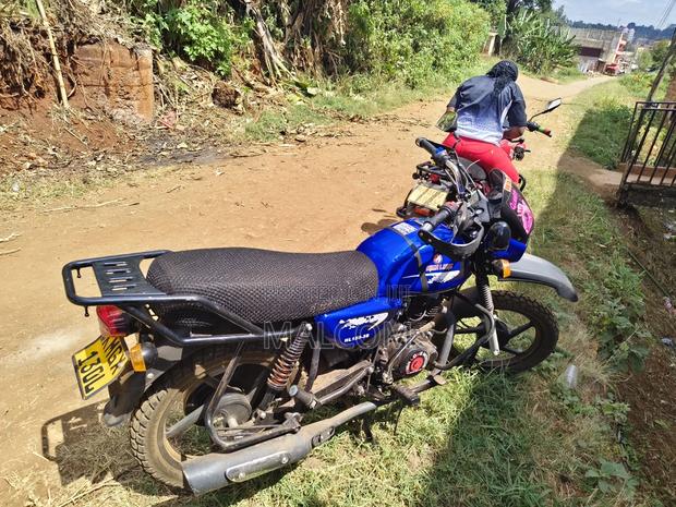 Hunter Cruiser 350cc 2026 Blue - thumbnail 2