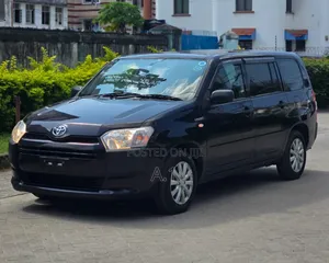 Toyota Probox 2019 Purple
