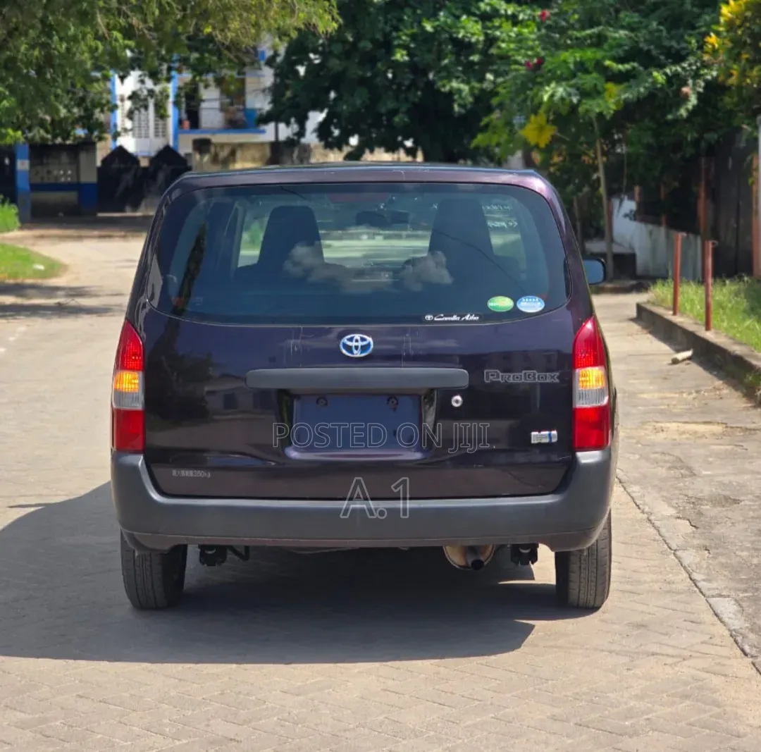 Toyota Probox 2019 Purple