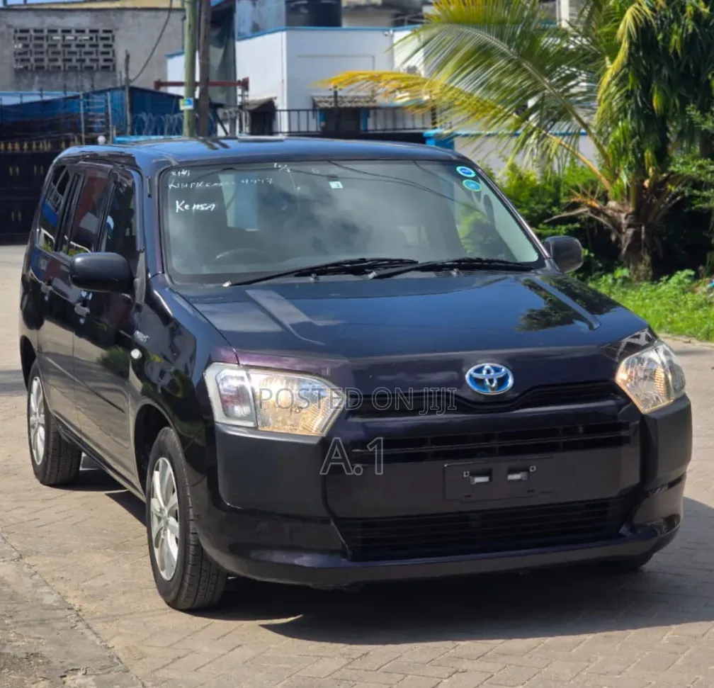 Toyota Probox 2019 Purple