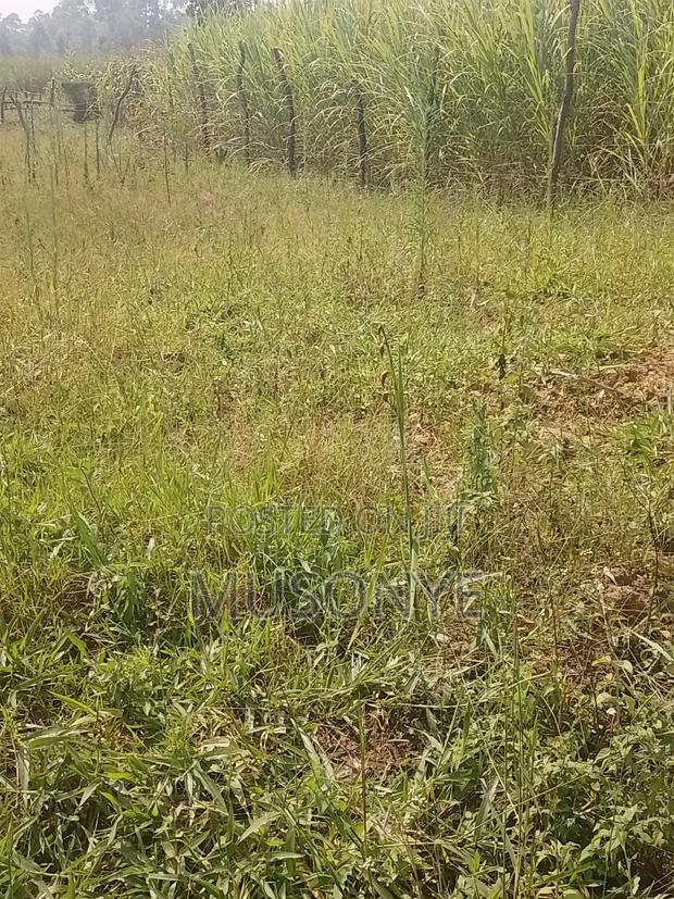 Land for Sale - thumbnail 2