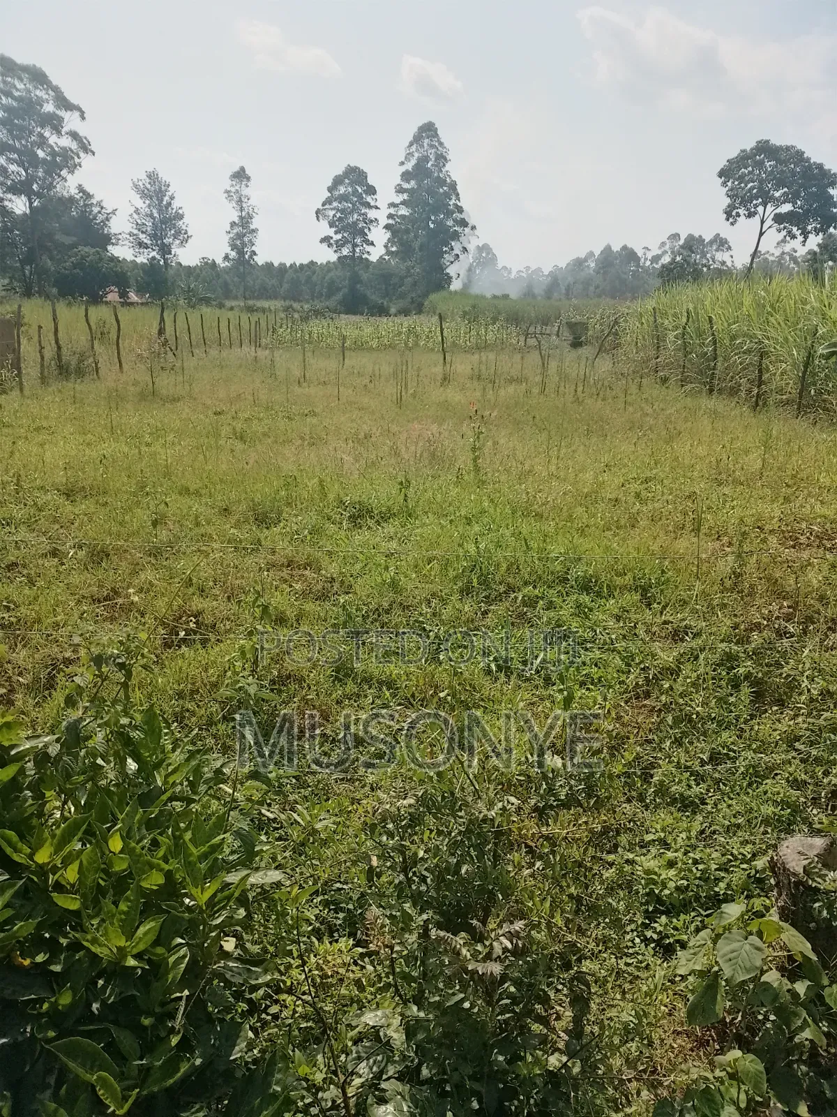 Land for Sale