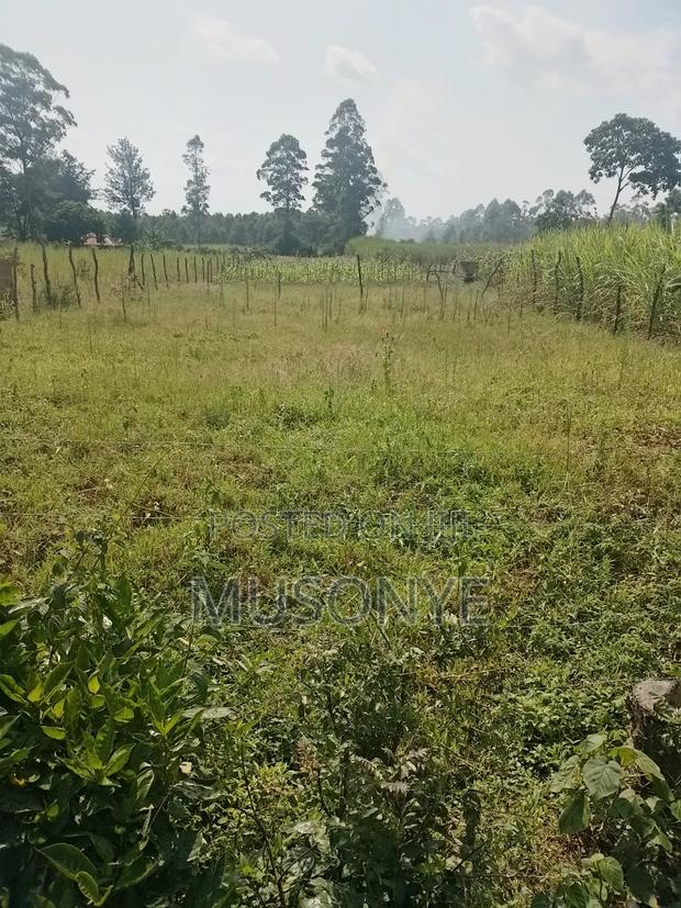 Land for Sale - thumbnail 6