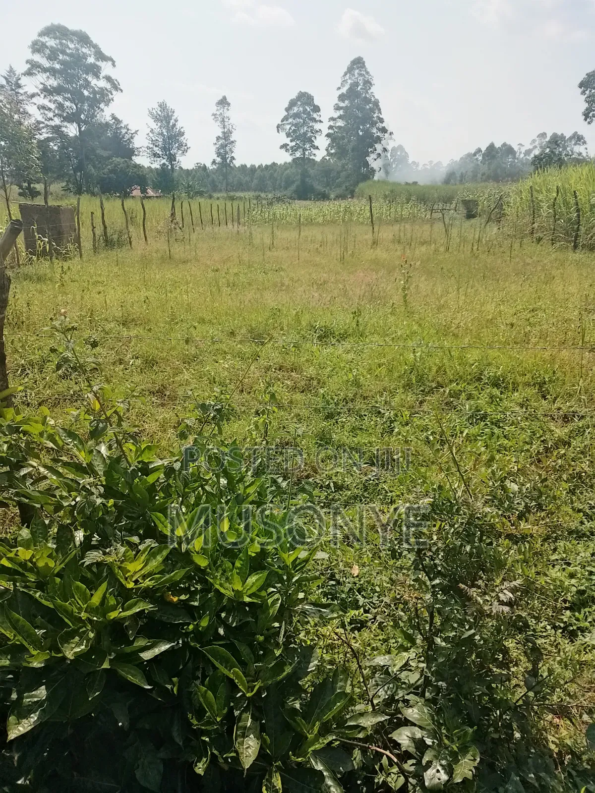Land for Sale
