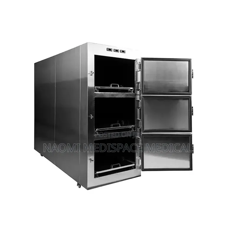 3 Bodied Mortuary Freezer(Locally Made on Order)-Stainless Steel