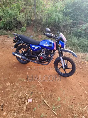 Hunter Cruiser 350cc 2026 Blue