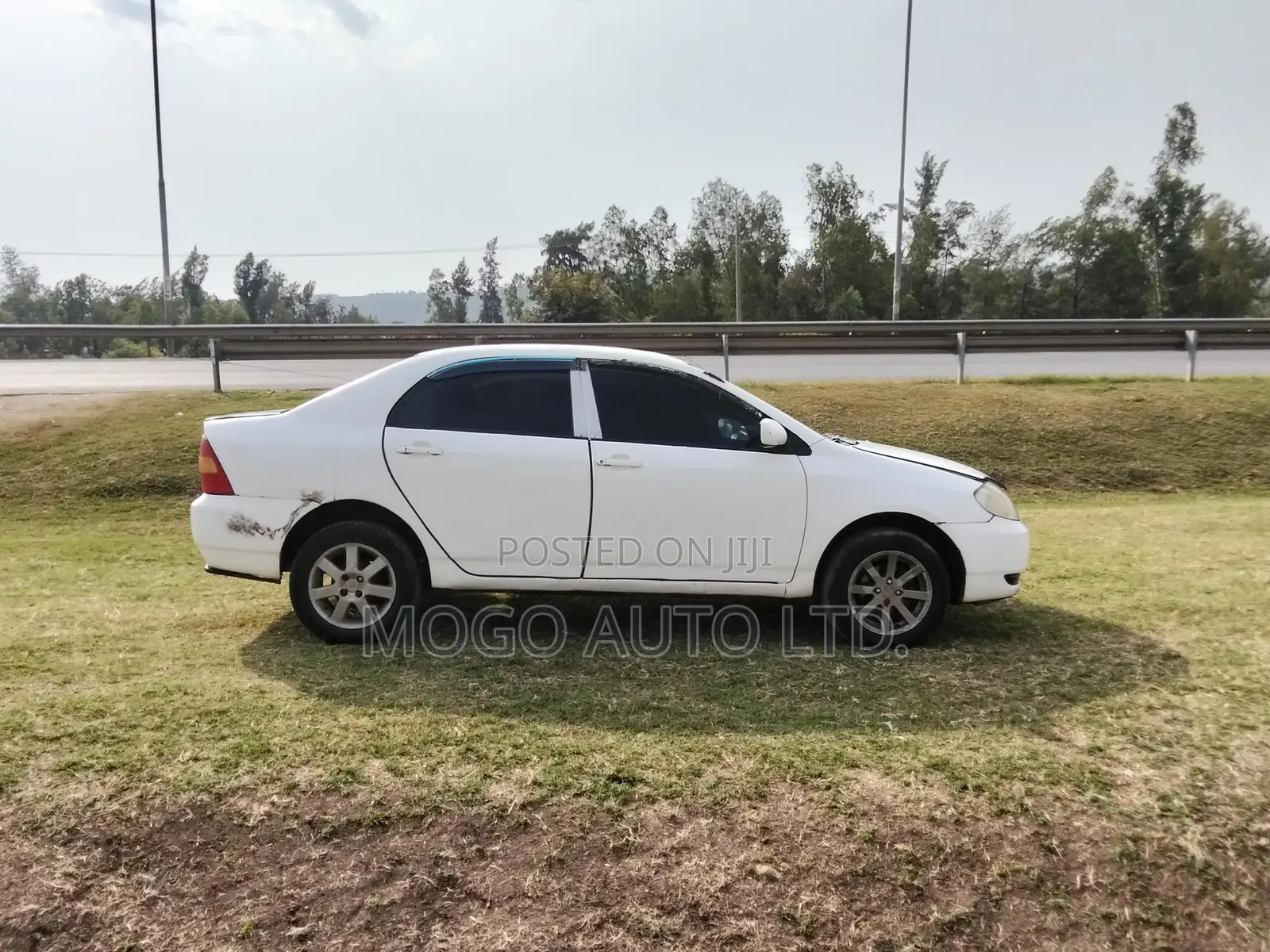 Toyota Corolla 2001 White