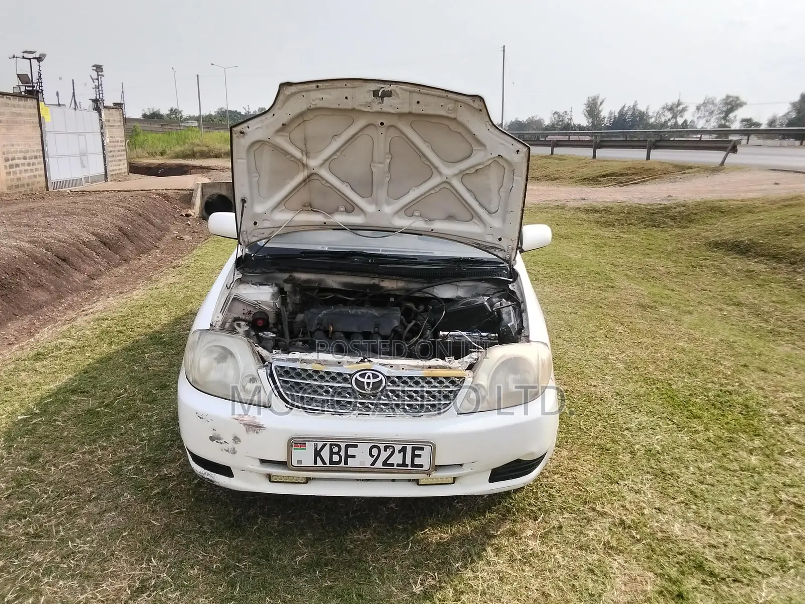 Toyota Corolla 2001 White
